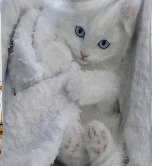 04 Punten.... Schattige Rustige Witte Kat Dierenpatroon Flanellen Dekentje